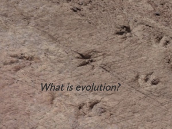 Evolution 1: Evidence-High School Resource